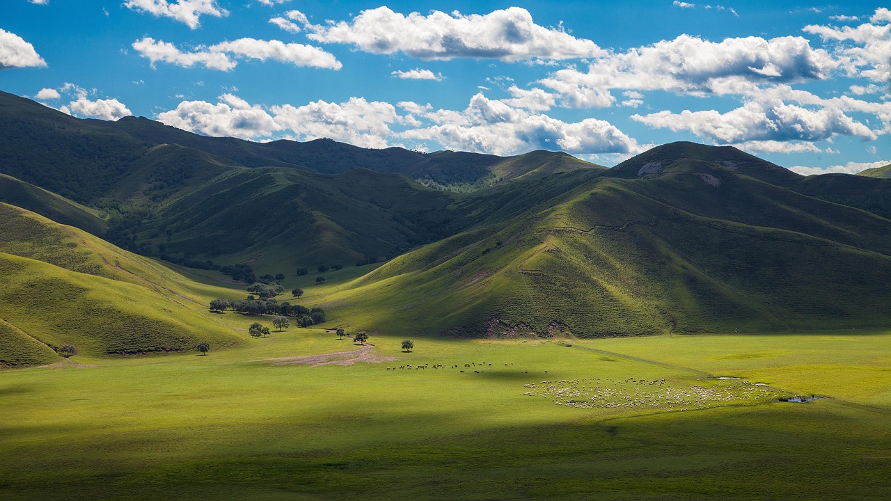 Grassland of Inner Mongolia
