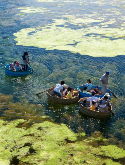 Autumn in Niigata, Sado Island & Nagano