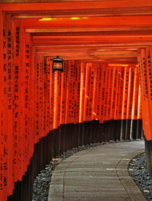 Spring Break in Osaka & Tokyo (I)