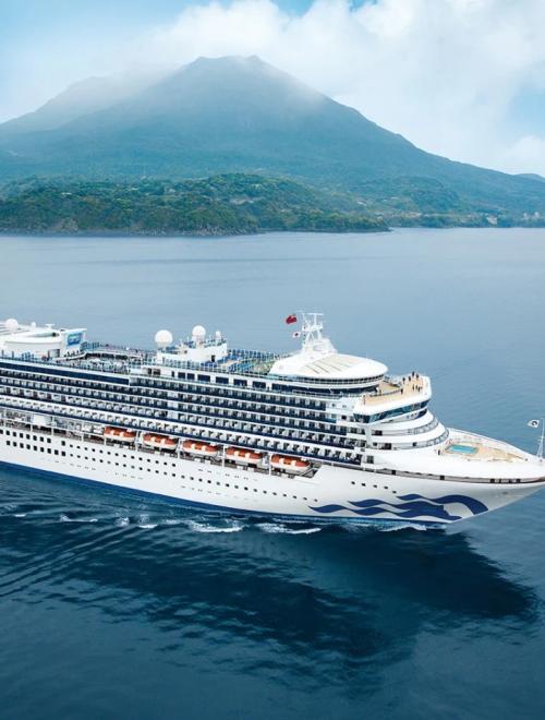 Japan Explorer Cruise + Land Tours