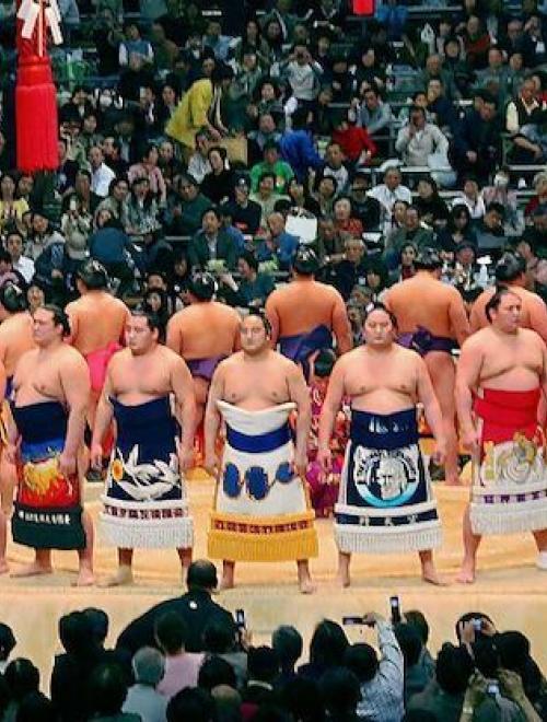 Sumo Wrestling & Sake Tasting