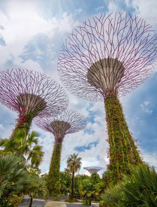 Summer Break in Singapore & Thailand