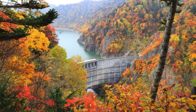 Beautiful Autumn Hokkaido Maple Tour