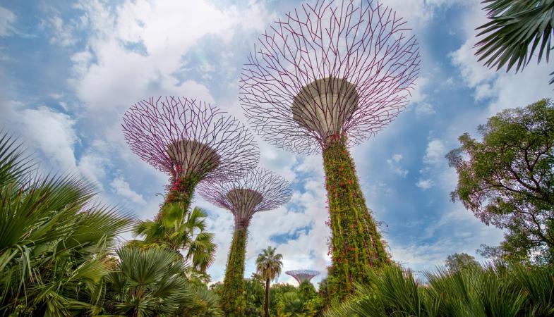 Highlight of Singapore & Thailand